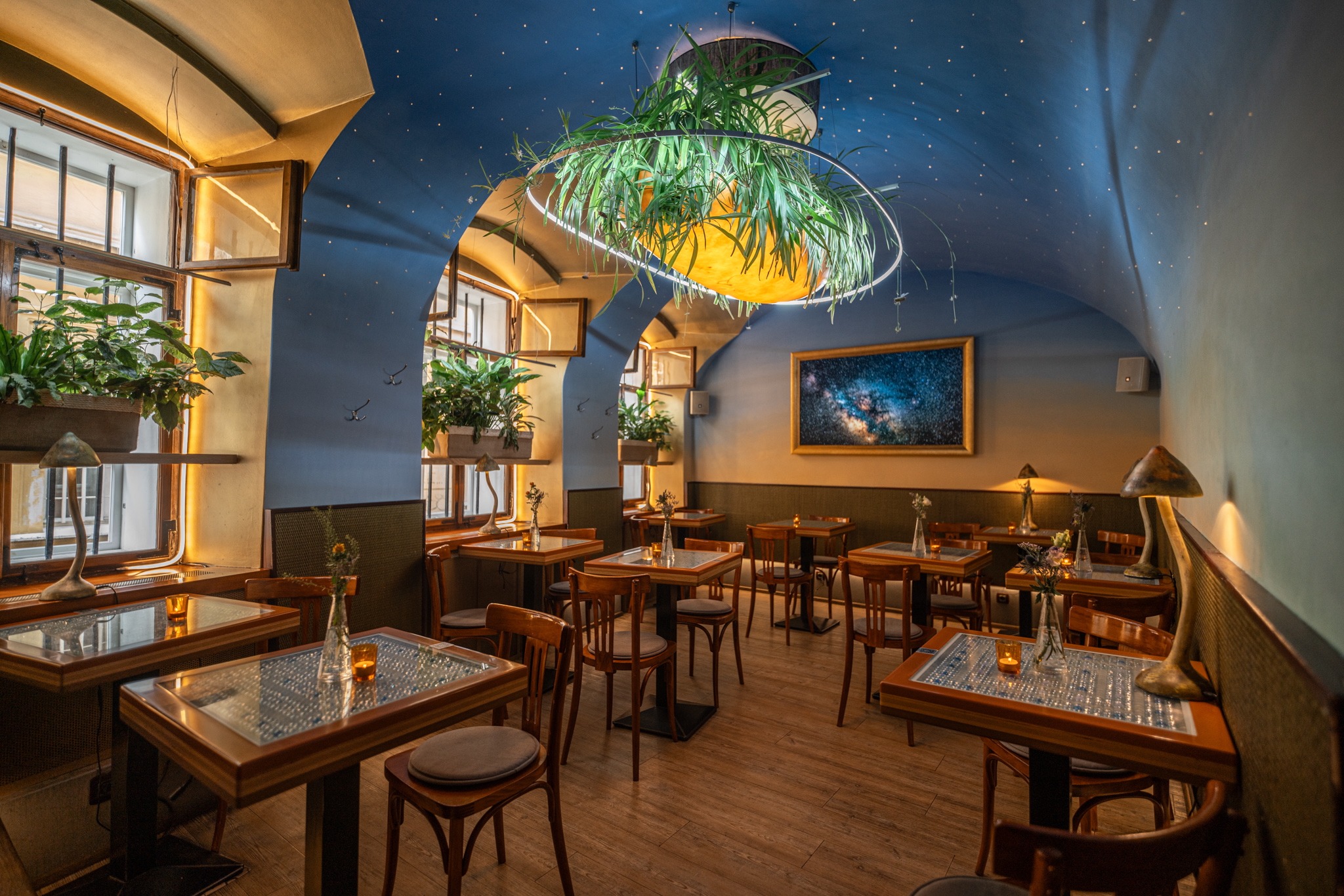 Vegetariánská restaurace Ostrava